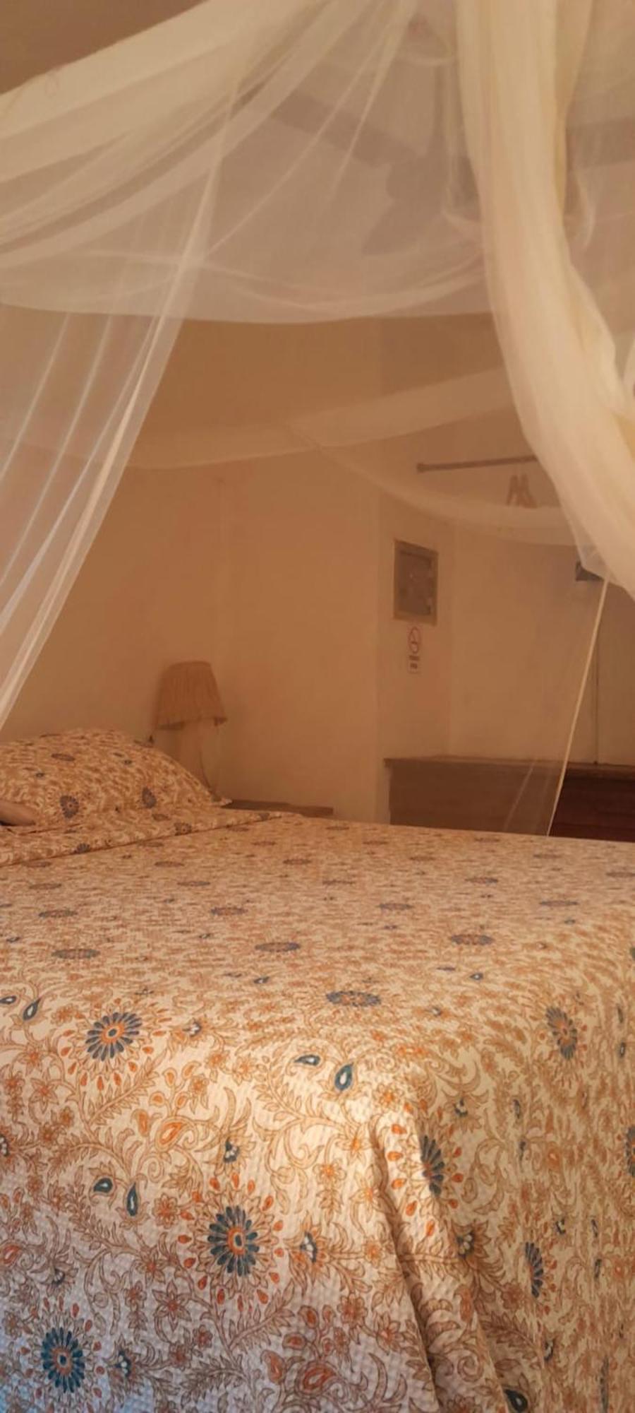 Mais Que Nada Itacare - Hostel, Bar & Breakfast Екстер'єр фото